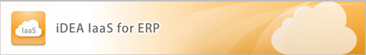 iDEA IaaS for ERP