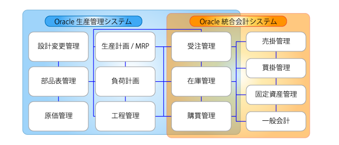 Oracle E-Business Suite の導入サービス 説明