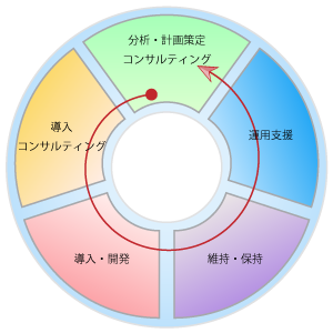 Oracle E-Business Suite の導入サービス ソリューション範囲